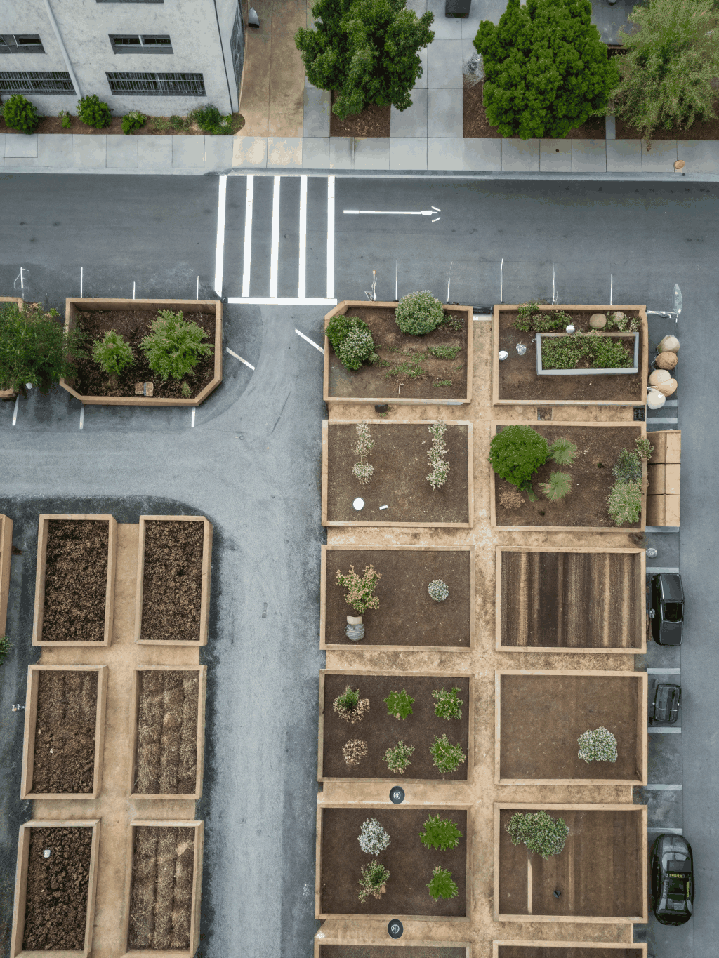 Cover illustration for The Urban Raised-Bed Blueprint & Seasonal Guide